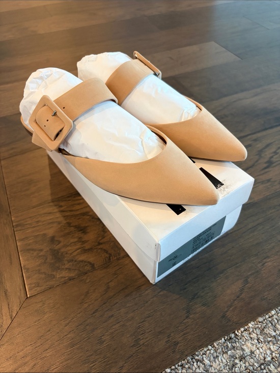 SCHUTZ Shoes - New In Box Schutz Adilia Pointed Toe Buckle Mule Flats Sz 8